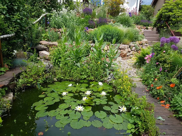 Schöner Garten Mit Blumen — Stockfoto