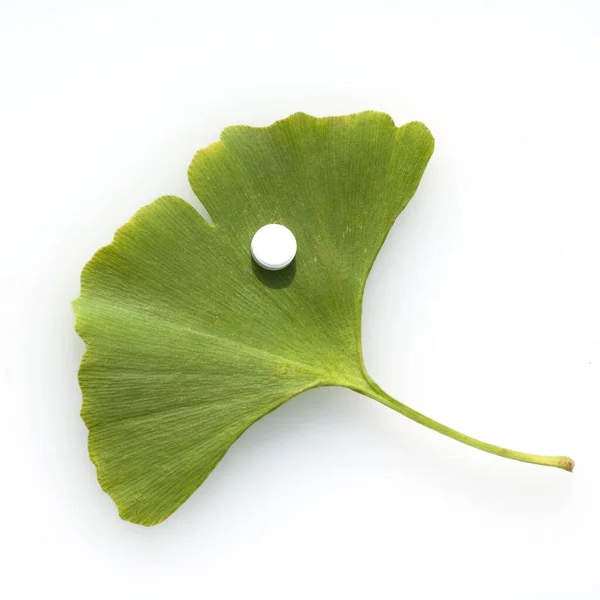 Ginkgo Biloba Ginkgonadel Tablette — 图库照片