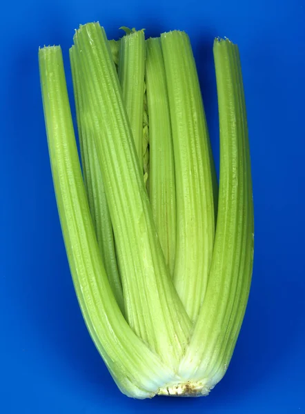 Cebolla Verde Fresca Sobre Fondo Azul —  Fotos de Stock