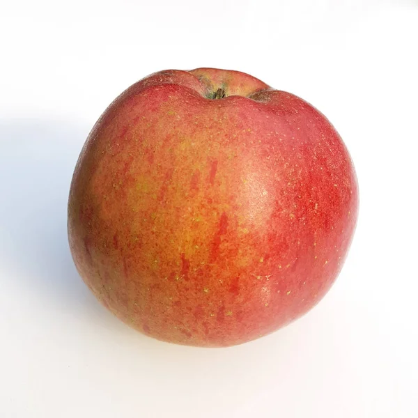 Melrose Apfel Malus Domestica Alte Apfelsorte — Foto de Stock