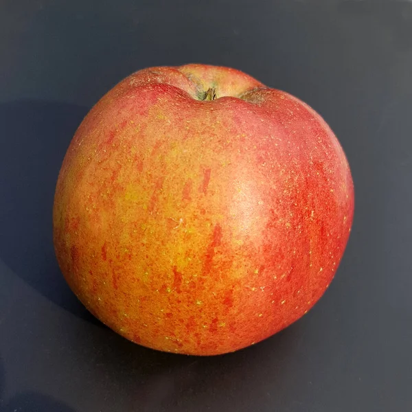 Melrose Apfel Malus Domestica Alte Apfelsorte — Stockfoto