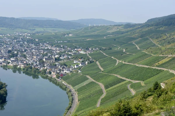 Der Weinberg Kroever Nacktarsch Ist Eine Wein Grosslage Der Mosel — Fotografia de Stock