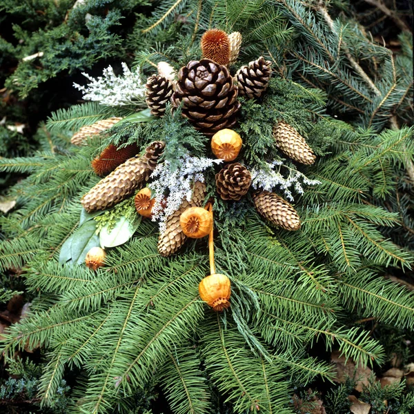 有锥果和松果的圣诞树 — 图库照片