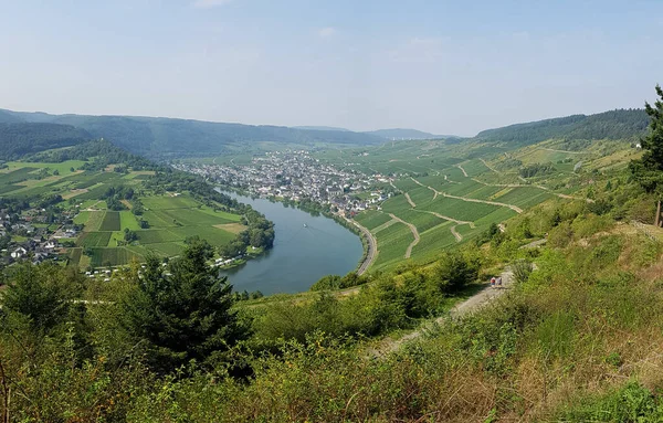 Der Weinberg Kroever Nacktarsch Ist Eine Wein Grosslage Der Mosel — Photo