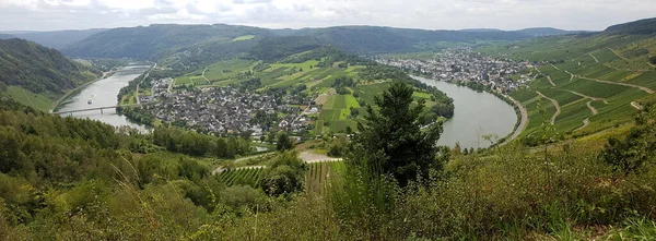 Der Weinberg Kroever Nacktarsch Ist Eine Wein Grosslage Der Mosel — Stok Foto