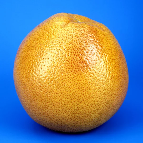 Toranja Citrus Exotische Frucht Exotisch Suedfrucht — Fotografia de Stock