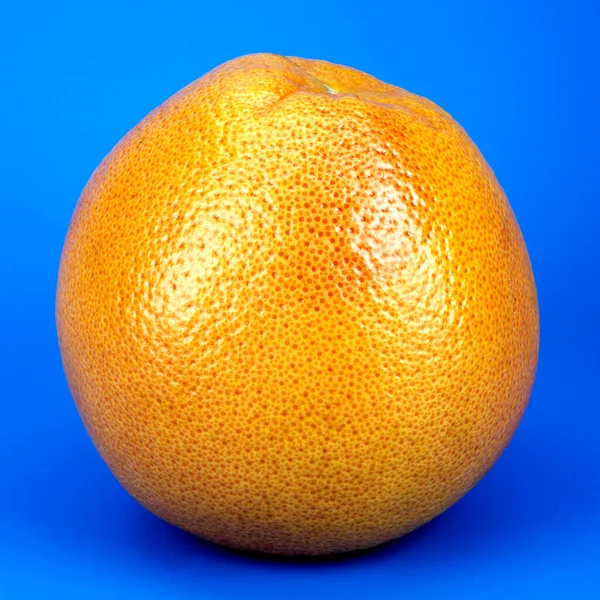 Orange Yellow Grapefruit White Background — Stock Photo, Image