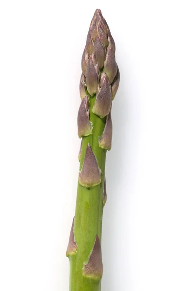 Spargelspitzen Spargel Gruener Asparagus Officinalis — 스톡 사진