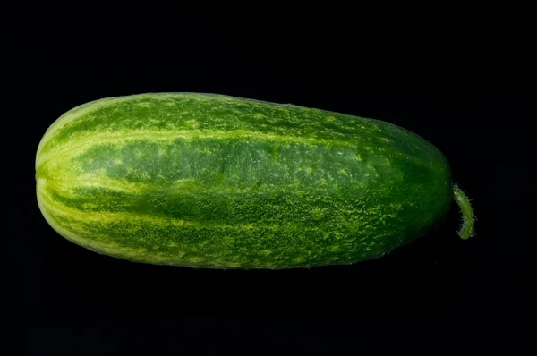 Siyah Arkaplanda Yeşil Salatalık Izole Edildi — Stok fotoğraf