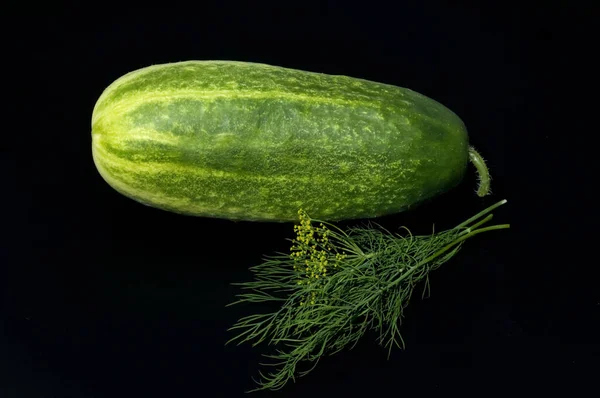 Pepino Verde Fundo Preto — Fotografia de Stock