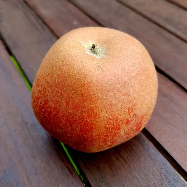 Hadelner Rotfranche Apfel Malus Domestica Alte Apfelsorten — Stock fotografie