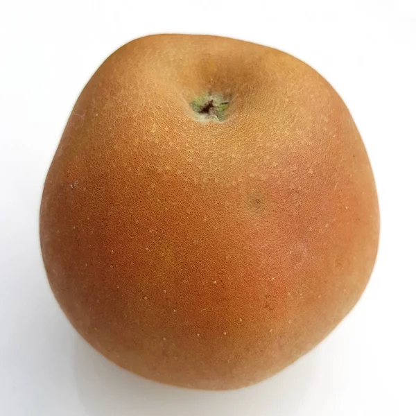 Hadelner Rotfranche Apfel Malus Domestica Alte Apfelsorten — Stockfoto