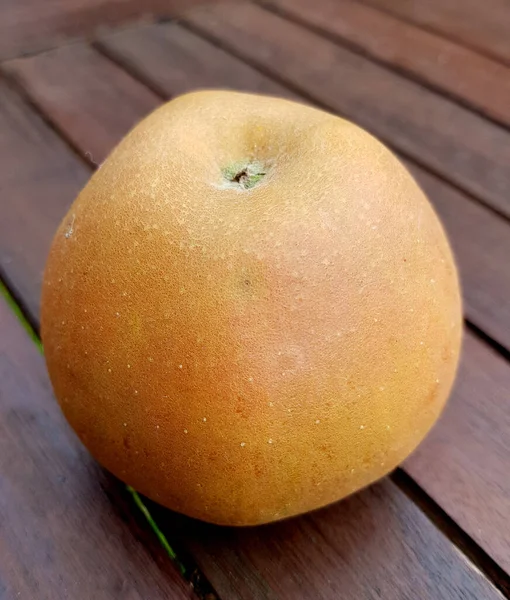 Hadelner Rotfranche Apfel Malus Domestica Alte Apfelsorten — Stockfoto