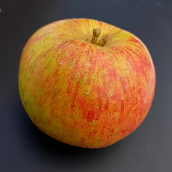 Hansa Prinz Hansa Renette Apfel Malus Domestica Alte Apfelsorte — Stockfoto