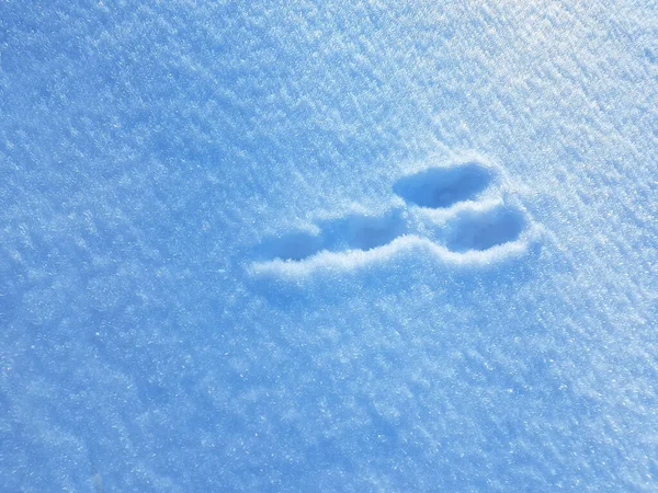 Fußabdrücke Schnee — Stockfoto