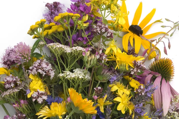 Hermoso Ramo Flores Sobre Fondo Blanco — Foto de Stock