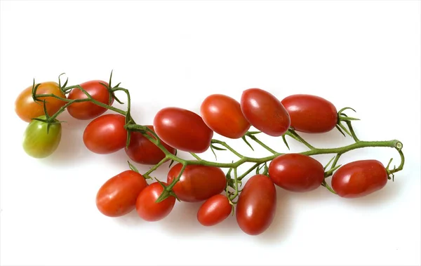 Pflaumentomato Pflaumen Buschtomate Ravello Tomate Lycopersicon Esculentum — Foto de Stock