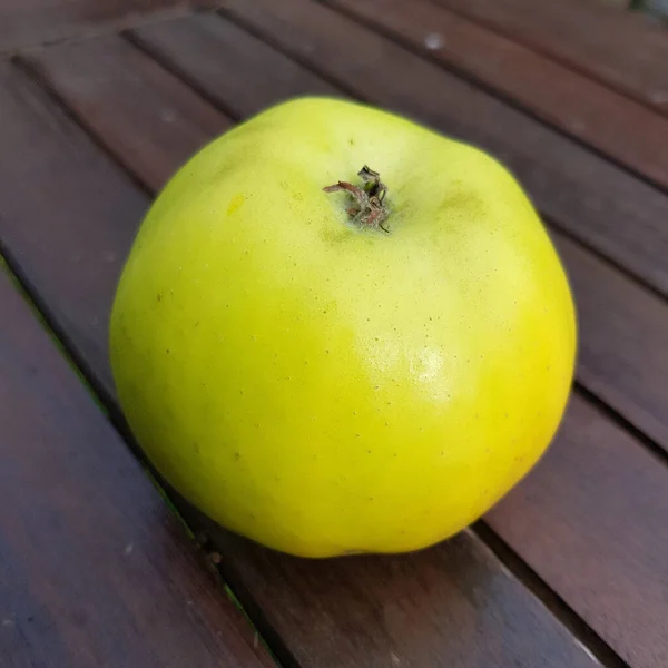 Pomme Oder Alte Apfelsorten Apfel Malus Domestica — Stockfoto