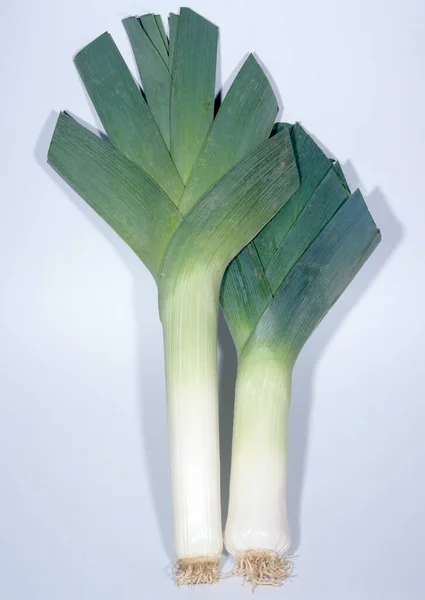 Cebollas Verdes Frescas Sobre Fondo Blanco — Foto de Stock