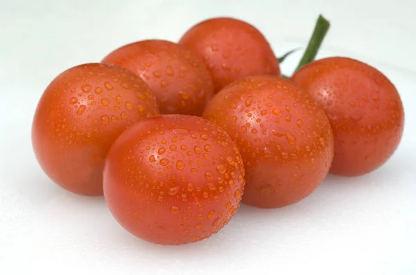 Tomates Rojos Frescos Sobre Fondo Blanco —  Fotos de Stock