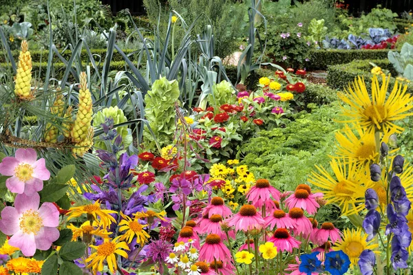 Bellissimi Fiori Giardino — Foto Stock