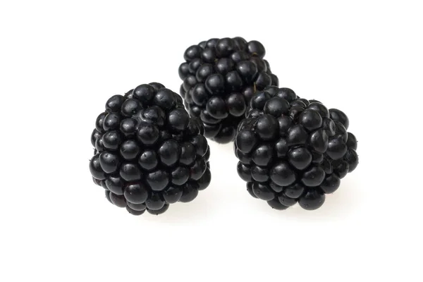 Brombeere Rubus Fructicosa Beeren Heilpflanzen Fruechte — Foto de Stock