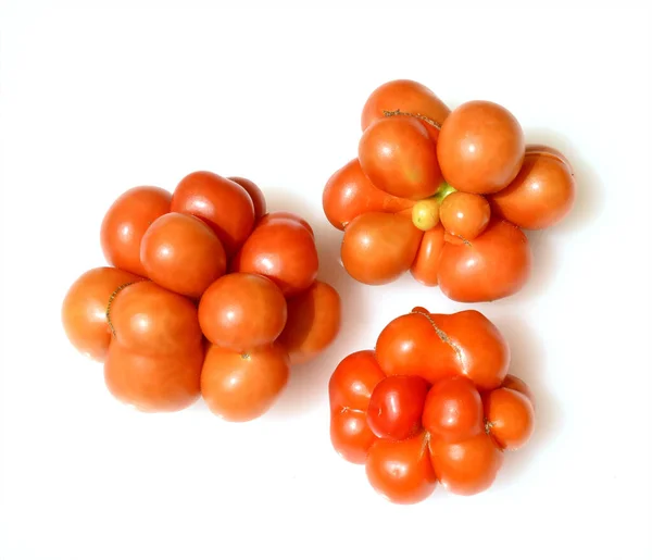 Tomates Frescos Sobre Fundo Branco — Fotografia de Stock