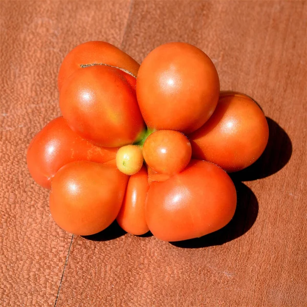 Tomat Merah Pada Latar Belakang Kayu — Stok Foto