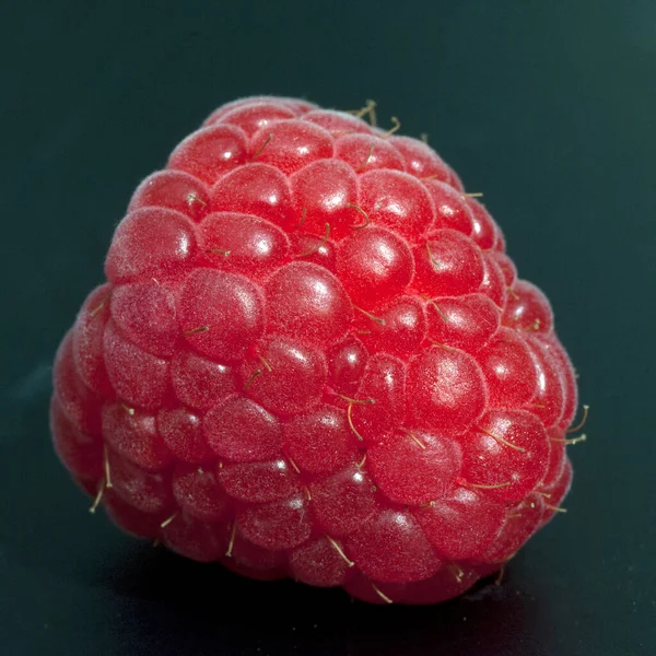 Himbeere Rubus Idaeus Waldbeere Hohlbeere — Stockfoto