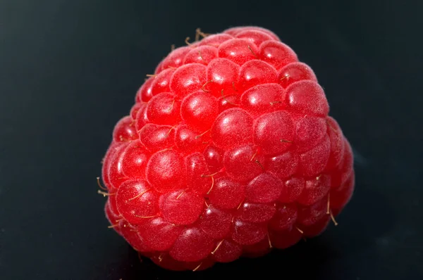 Himbeere Rubus Idaeus Waldbeere Hohlbeere — Fotografia de Stock