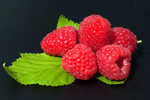 Himbeere Rubus Idaeus Waldbeere Hohlbeere —  Fotos de Stock