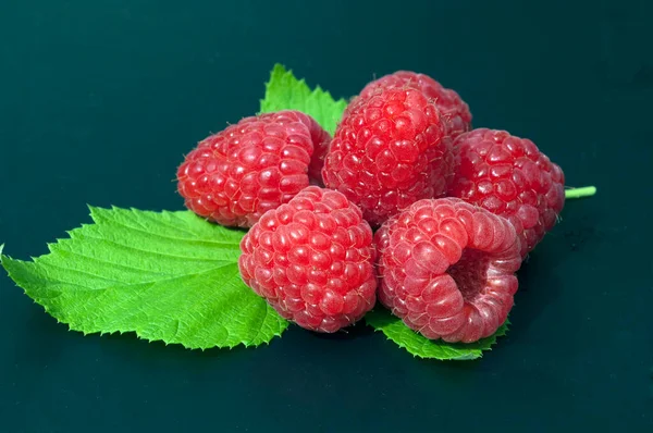 Himbeere Rubus Idaeus Waldbeere Hohlbeere — Stockfoto