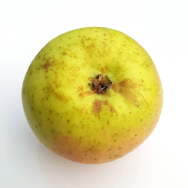 Ribstone Pepping Alte Apfelsorten Apfel Malus Domestica — Stock fotografie