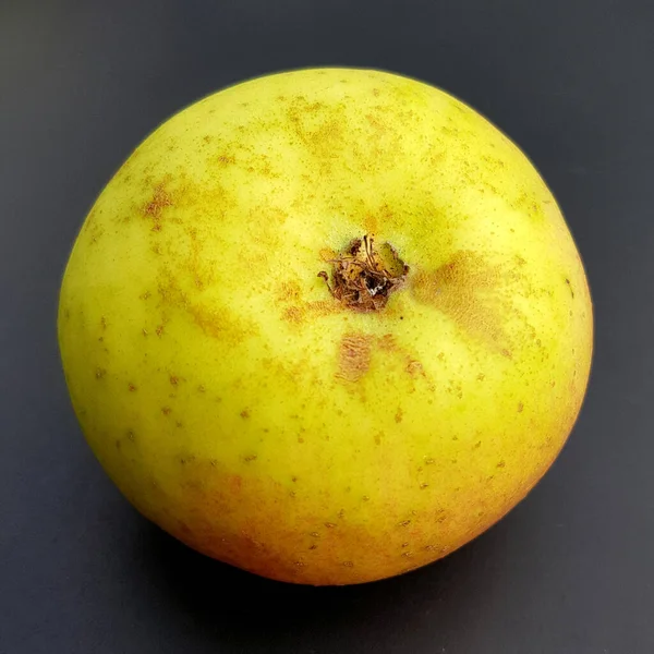 Ribstone Pepping Alte Apfelsorten Apfel Malus Domestica — Stockfoto