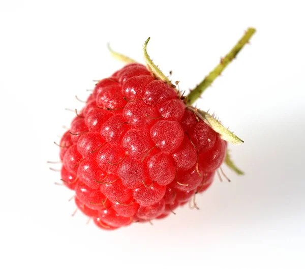 Framboises Rouges Mûres Isolées Sur Fond Blanc — Photo