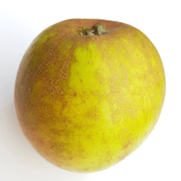 Ribstone Pepping Alte Apfelsorten Apfel Malus Domestica — Stock fotografie