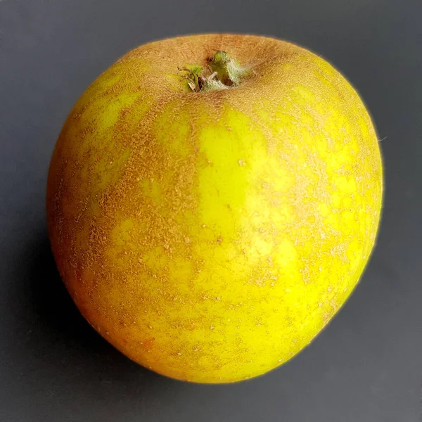 Ribstone Pepping Alte Apfelsorten Apfel Malus Domestica — Zdjęcie stockowe