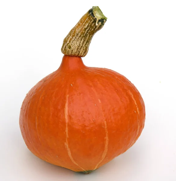 Pumpa Isolerad Vit Bakgrund — Stockfoto