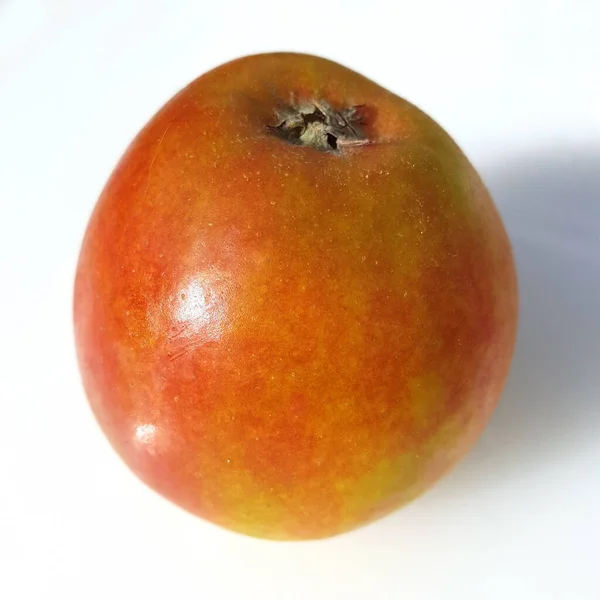 Holsteiner Cox Apfel Malus Domestica Alte Apfelsorte — Φωτογραφία Αρχείου