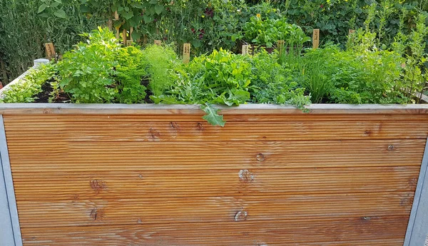 Tiro Vertical Una Valla Madera Con Una Pared Verde —  Fotos de Stock