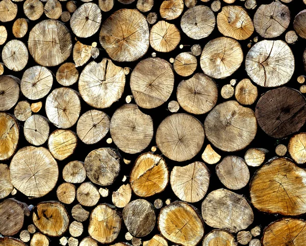 Stos Drewna Tekstury Tła — Zdjęcie stockowe