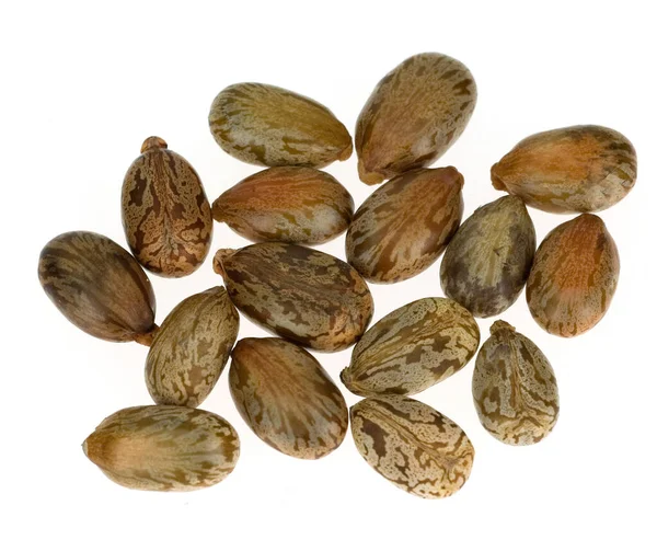 Высушенные Семена Подсолнечника Белом Фоне — стоковое фото