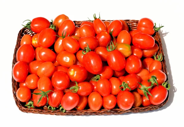 Pflaumen Buschtomate Romello Tomate Lycopersicon Esculentum — Φωτογραφία Αρχείου