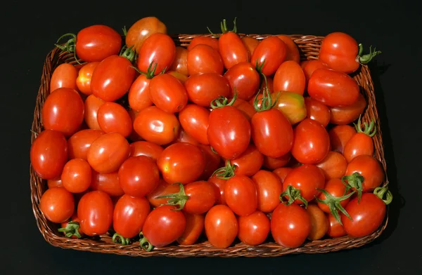 Pflaumen Buschtomate Romello Tomate Lycopersicon Esculentum — Stockfoto