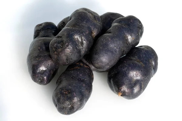Blauviolette Blaue Kartoffeln Vitelotte — Foto de Stock