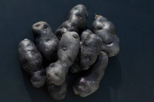 Blauviolette Blaue Kartoffeln Vitelotte — Fotografia de Stock