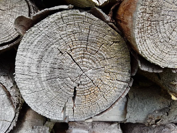 Řezat Dřevo Textury Pozadí — Stock fotografie