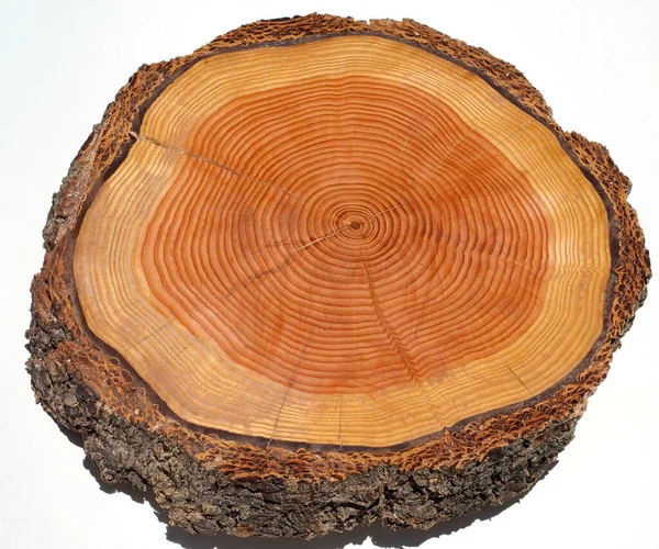 Geschnittene Holzstruktur Natürlicher Hintergrund — Stockfoto