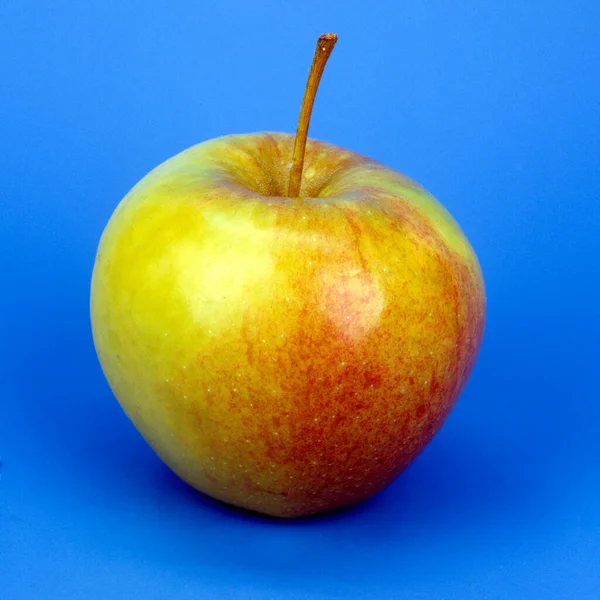 Jonagold Schneider Apfel Apfelsorte Apfel Kernobst Obst — Fotografia de Stock