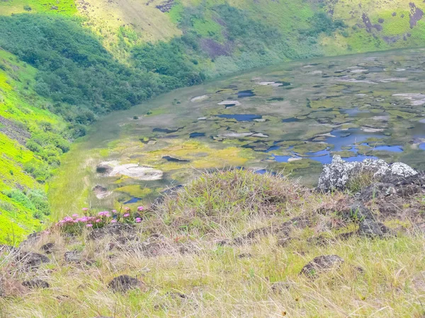 Natuur Van Paaseiland Landschap Vegetatie Kust — Stockfoto